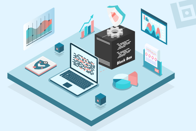 Black Box Testing Services - A Comprehensive Guide in 2025