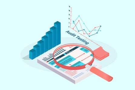 What is Audit Testing in Software Testing